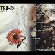 As feathers to flowers and petals to wings As feathers to flowers and petals to wings