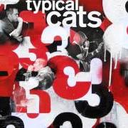 Il testo BOWL OF TEA di TYPICAL CATS è presente anche nell'album 3 (2012)