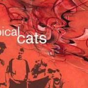 Il testo WHAT YOU THOUGHT HOPS di TYPICAL CATS è presente anche nell'album Typical cats (2001)