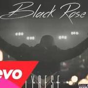 Black rose