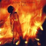 Il testo A CRIMSON SHADE degli ASHES YOU LEAVE è presente anche nell'album Fire (2002)