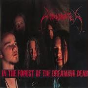 In the forest of the dreaming dead