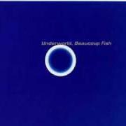 Il testo SHUDDER / KING OF SNAKE degli UNDERWORLD è presente anche nell'album Beaucoup fish (1999)