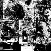 Il testo CUDDLE BUNNY VS CELTIC VILLAGES degli UNDERWORLD è presente anche nell'album Oblivion with bells (2007)