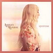 Il testo MOTHER'S DAUGHTER di ASHLEY MONROE è presente anche nell'album Sparrow (2018)