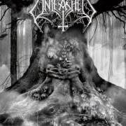 Il testo CANNIBALISTIC EPIDEMIC CONTINUES degli UNLEASHED è presente anche nell'album As yggdrasil trembles (2010)