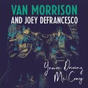 Il testo STICKS AND STONES di VAN MORRISON è presente anche nell'album You're driving me crazy (2018)