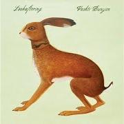 Il testo WAYWARD HUM di VASHTI BUNYAN è presente anche nell'album Lookaftering (2005)