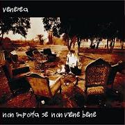 Il testo GALVANICA dei VENEREA è presente anche nell'album Non importa se non viene bene (2006)