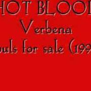 Il testo HOT BLOOD dei VERBENA è presente anche nell'album Souls for sale (1997)