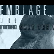 Il testo SALT THE EARTH (FEAT. ANGELTHEORY) di ASSEMBLAGE 23 è presente anche nell'album Endure (2016)