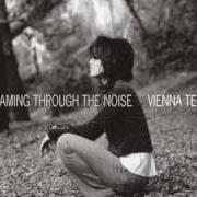 Il testo NOTHING WITHOUT YOU di VIENNA TENG è presente anche nell'album Dreaming through the noise (2006)