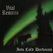 Il testo IMMORTAL CRUSADE dei VITAL REMAINS è presente anche nell'album Into cold darkness (1995)