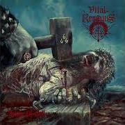 Il testo SHRAPNEL EMBEDDED FLESH dei VITAL REMAINS è presente anche nell'album Icons of evil (2007)