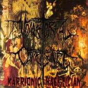 Il testo TURN TO dei VOMITORIAL CORPULENCE è presente anche nell'album Karrionic hacktician (1995)