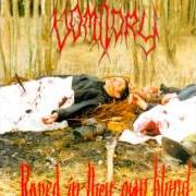 Il testo DARK GREY EPOCH dei VOMITORY è presente anche nell'album Raped in their own blood (1996)