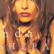 Il testo THIS IS CRAZY NOW di VONDA SHEPARD è presente anche nell'album By 7:30 (1999)