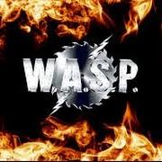 Il testo THE TORTURE NEVER STOPS dei W.A.S.P. è presente anche nell'album I wanna be somebody (1984)