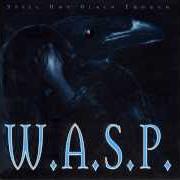 Il testo GOODBYE AMERICA dei W.A.S.P. è presente anche nell'album Still not black enough (1995)