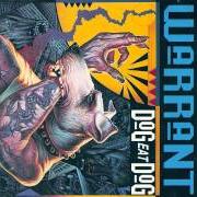 Il testo MACHINE GUN dei WARRANT è presente anche nell'album Dog eat dog (1992)
