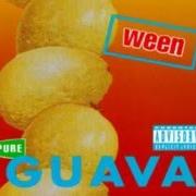 Il testo TOUCH MY TOOTER dei WEEN è presente anche nell'album Pure guava (1992)