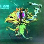 Il testo THE MOLLUSK dei WEEN è presente anche nell'album The mollusk (1997)