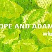 Il testo AND SOMEONE WITH STRENGTHS dei WHEAT è presente anche nell'album Hope and adams