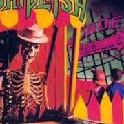 Il testo RESPECT THE DEAD dei WHIPLASH è presente anche nell'album Ticket to mayhem (1987)