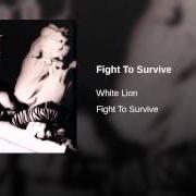 Il testo IN THE CITY dei WHITE LION è presente anche nell'album Fight to survive (1984)