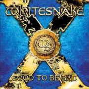 Il testo ALL FOR LOVE dei WHITESNAKE è presente anche nell'album Good to be bad (2008)