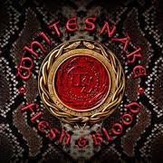 Il testo FLESH & BLOOD dei WHITESNAKE è presente anche nell'album Flesh & blood (2019)