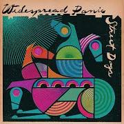 Il testo JAMAIS VU (THE WORLD HAS CHANGED) dei WIDESPREAD PANIC è presente anche nell'album Street dogs (2015)