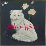 Il testo EKG dei WILCO è presente anche nell'album Star wars (2015)