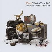 Il testo WILCO (THE SONG) dei WILCO è presente anche nell'album What's your 20? essential tracks (2014)