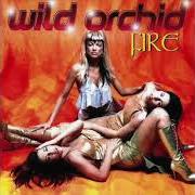 Il testo WORLD WITHOUT YOU delle WILD ORCHID è presente anche nell'album Fire