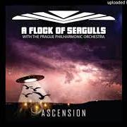 Il testo MAN MADE degli A FLOCK OF SEAGULLS è presente anche nell'album Ascension (2018)