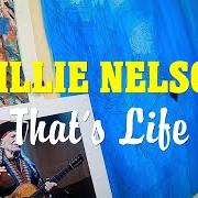 Il testo I WON'T DANCE di WILLIE NELSON è presente anche nell'album That's life (2021)