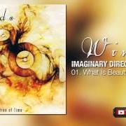 Il testo VISIONS OF PERFECTION dei WINDS è presente anche nell'album The imaginary direction of time (2004)