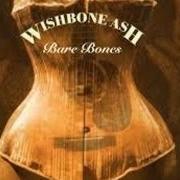 Il testo LOVE ABUSE dei WISHBONE ASH è presente anche nell'album Bare bones (1999)