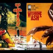 Il testo DON'T CRY dei WISHBONE ASH è presente anche nell'album Raw to the bone (1985)