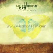 Il testo INVISIBLE THREAD dei WISHBONE ASH è presente anche nell'album Elegant stealth (2011)