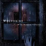 Il testo HIDING dei WOLVERINE è presente anche nell'album Still (2006)