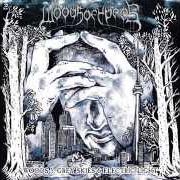 Il testo SILVER dei WOODS OF YPRES è presente anche nell'album Woods 5: grey skies & electric light (2012)