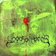 Il testo MOVE ON! dei WOODS OF YPRES è presente anche nell'album Woods iv: the green album (2009)