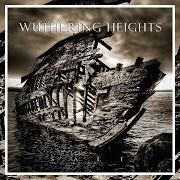Il testo SYMPATHY dei WUTHERING HEIGHTS è presente anche nell'album Salt (2010)