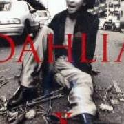 Il testo TEARS degli X JAPAN è presente anche nell'album Dahlia (1996)