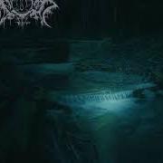 Il testo WITH HATE FREEZING IN MY VEINS degli XASTHUR è presente anche nell'album Suicide in dark serenity (2003)