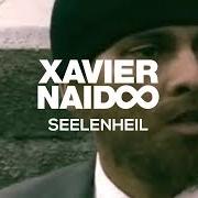 Il testo SEELENHEIL di XAVIER NAIDOO è presente anche nell'album Telegramm für x (2005)