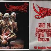 Il testo INTRO dei YATTERING è presente anche nell'album Human's pain (1998)