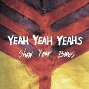 Il testo WARRIOR di YEAH YEAH YEAHS è presente anche nell'album Show your bones (2006)